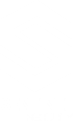 Noticias y Novedades